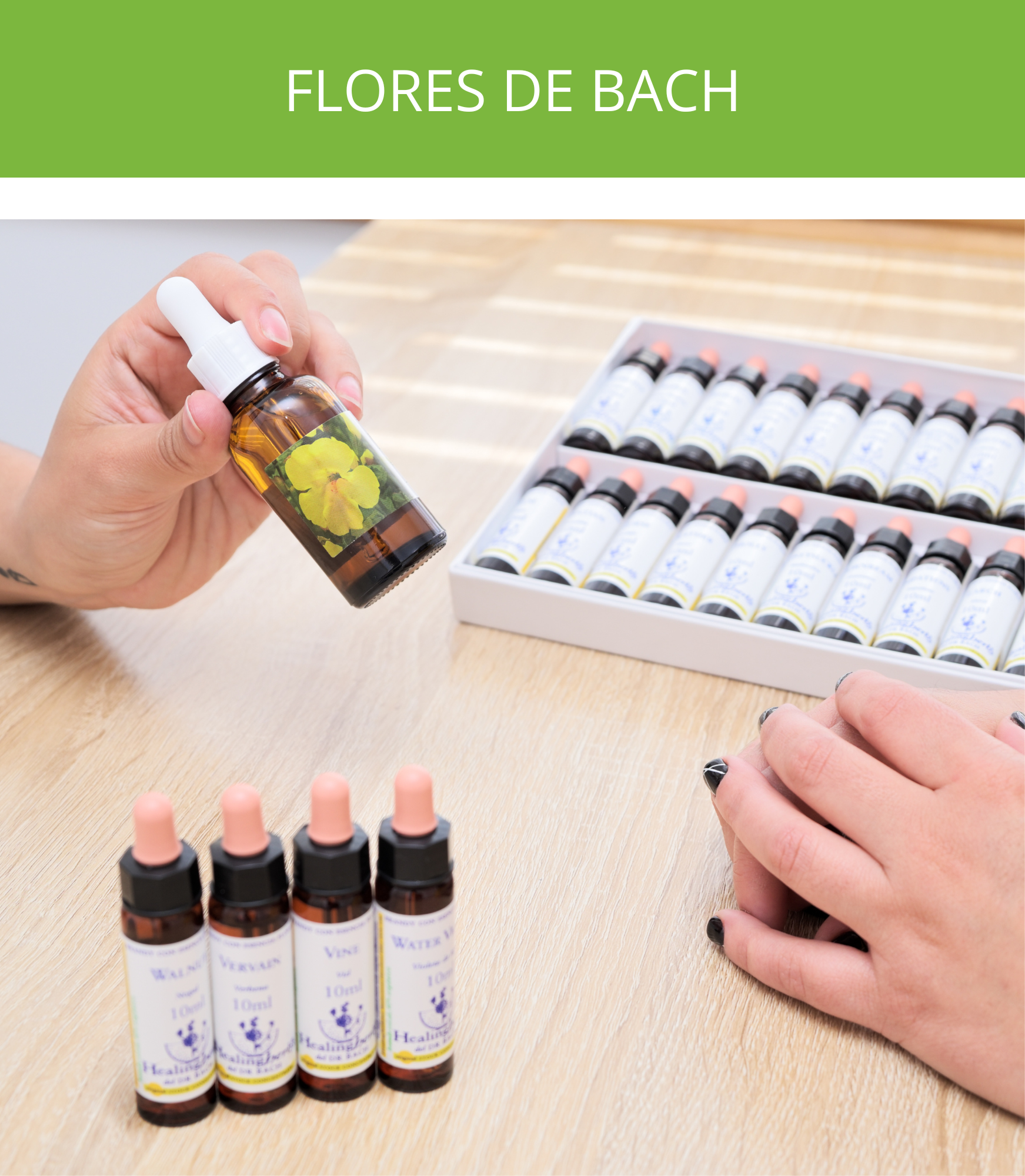 Flores de Bach
