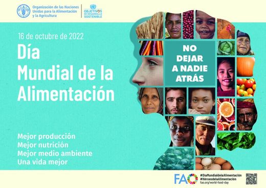 DIA MUNDIAL DE LA ALIMENTACIÓN