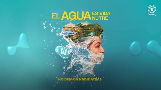DÍA MUNDIAL DE LA ALIMENTACIÓN