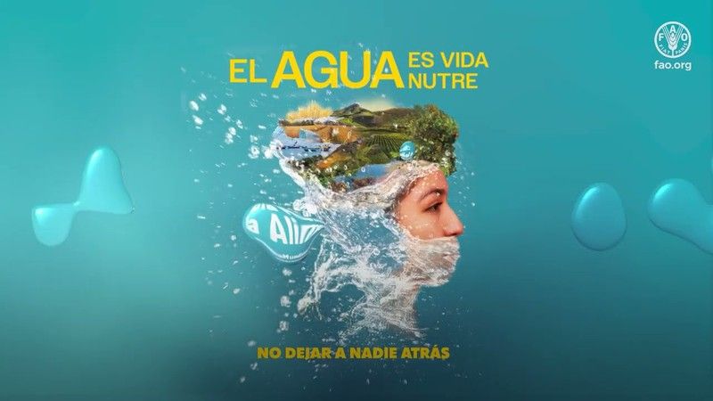 DÍA MUNDIAL DE LA ALIMENTACIÓN
