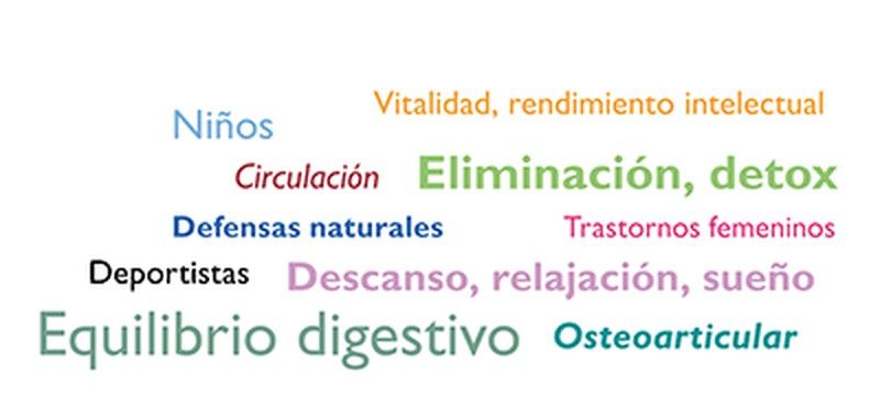 ¿Qué resultados obtenemos al hacer el test IOMET?