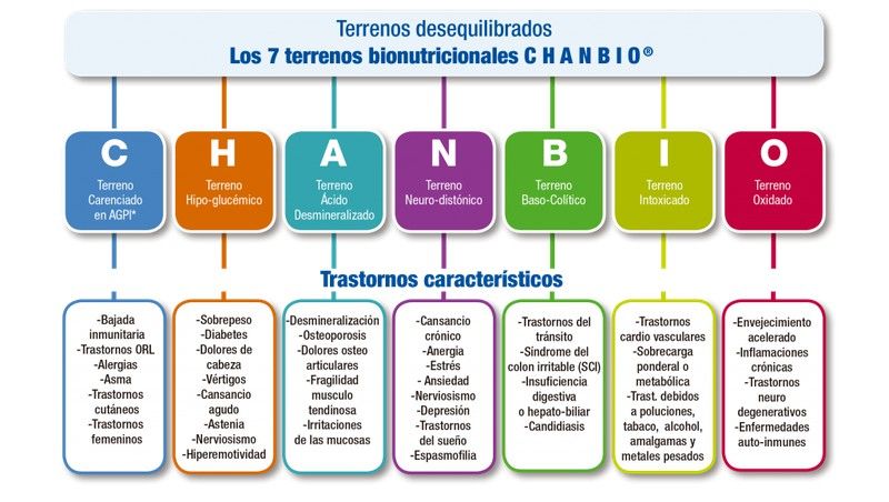 Veamos cuáles son: