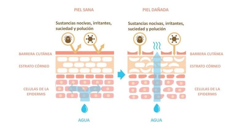 ¿Cuál serían los efectos negativos?