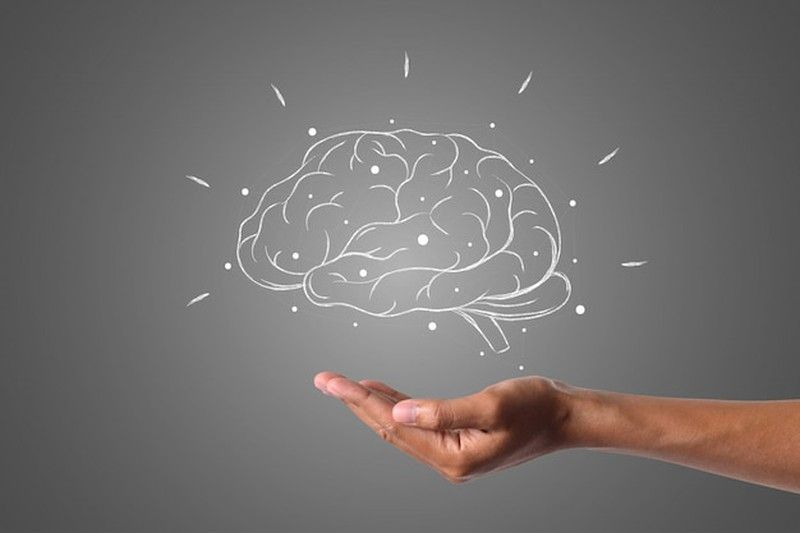 Para todo ello es necesario que nuestro cerebro tenga un nivel correcto de antioxidantes.