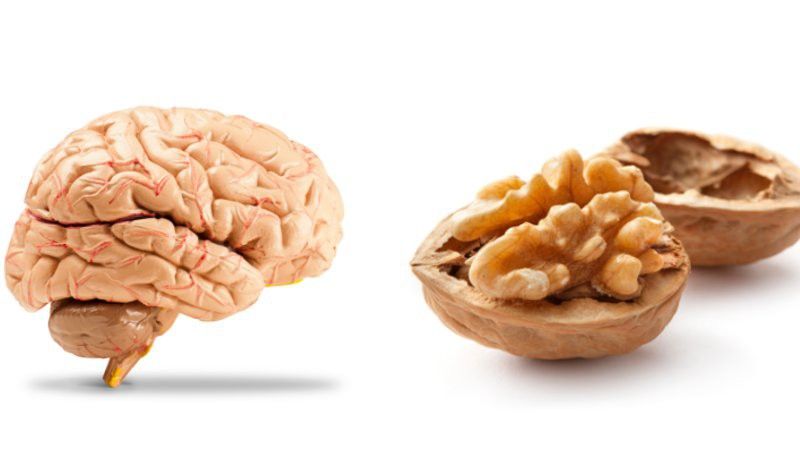 Los antioxidantes claves los conseguimos de los alimentos.