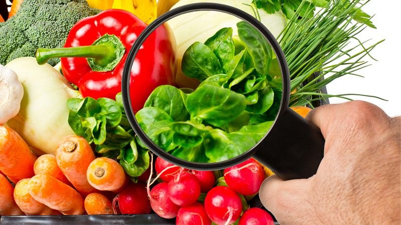 En verano aumenta el riesgo de contraer intoxicaciones alimentarias y a su vez algunos alimentos si no se conservan correctamente se estropean con mayor facilidad.