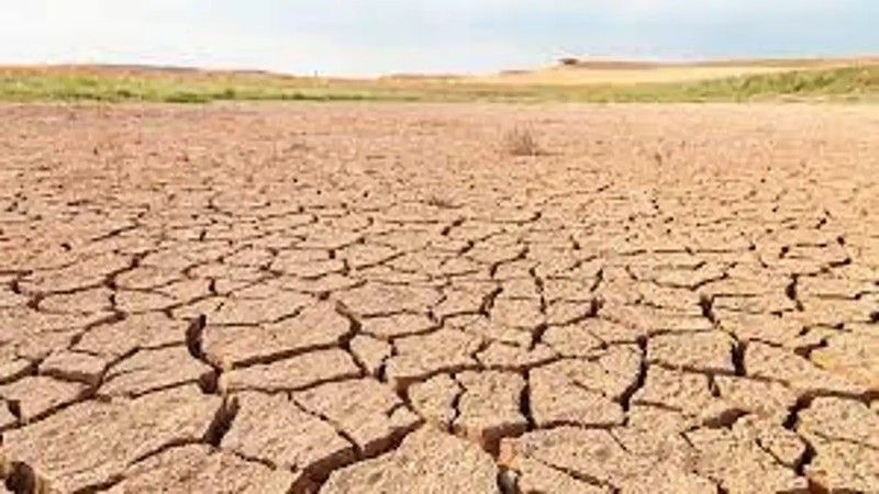 Como cada 16 de octubre se celebra el día Mundial de la alimentación. Este año 2023 con un aire reivindicativo a un elemento esencial para la vida: el agua.