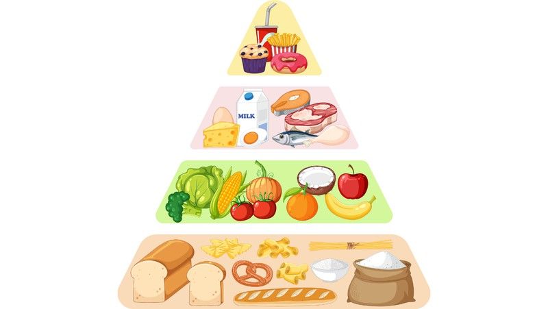 Conoce los alimentos saludables que no deben faltar en tu día a día.