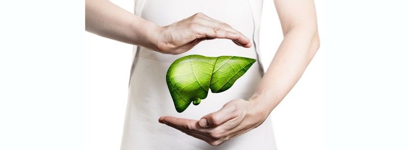 Poco se habla de la importancia de tener un hígado y un intestino sano.