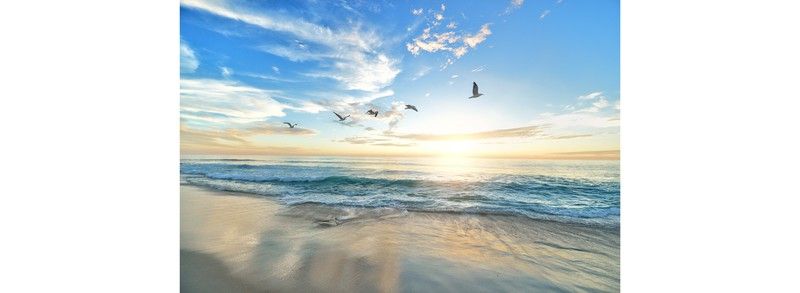 El sol nos aporta muchos beneficios si sabemos cómo exonernos a él.