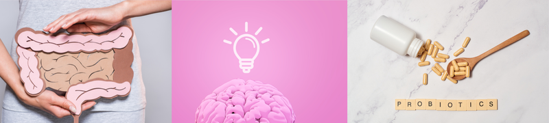 La conexión intestino-cerebro-inmunidad