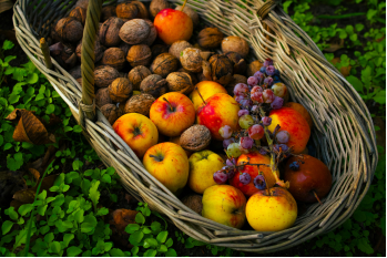 ¿Por qué elegir alimentos de temporada?