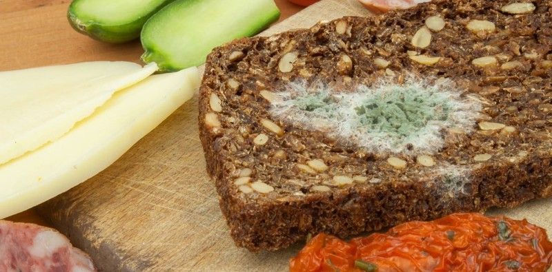Vayamos paso a paso, te contamos las particularidades de la conservación de alimentos frescos, como consumir las salsas caseras y qué hacer para que estas duren más tiempo y como congelar los platos cocinados en casa.
