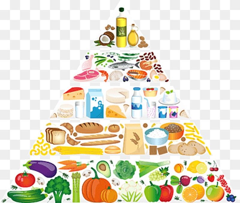 ¿Por qué es tan importante mantener un adecuado estado nutricional?