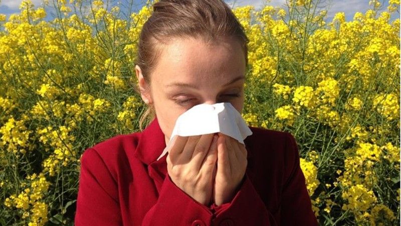 Las alergias estacionales están causadas por los granos de polen de las plantas, árboles y césped.