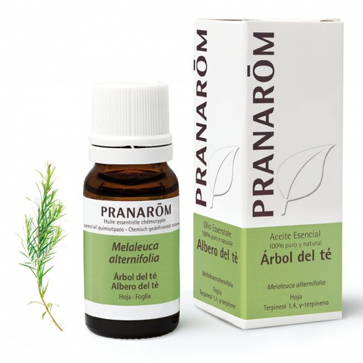 Pranarom Aceite Esencial Árbol del té 10 ml