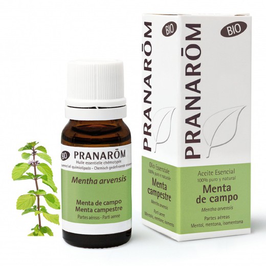 Pranarom Aceite Esencial Menta de Campo 10 ml