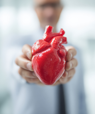 Salud cardiovascular