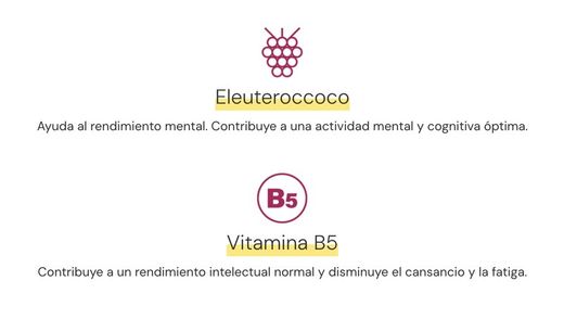 Aquilea OnBalance Focus 60 Gummies