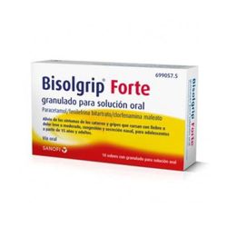 Bisolgrip Forte 10 Sobres Polvo