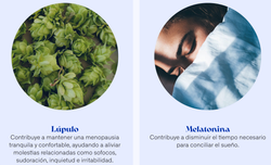 Flavia Nocta 30 Capsulas