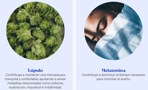 Flavia Nocta 30 Capsulas