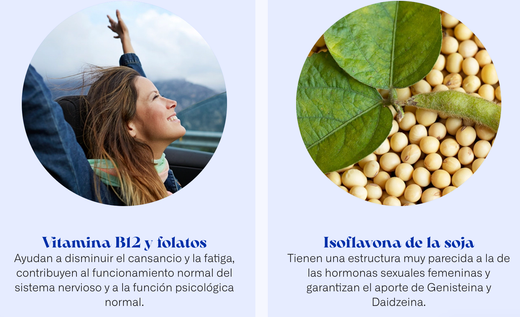 Flavia Nocta 30 Capsulas