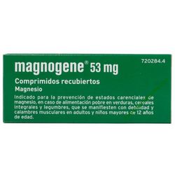 Magnogene 45 Comprimidos Recubiertos