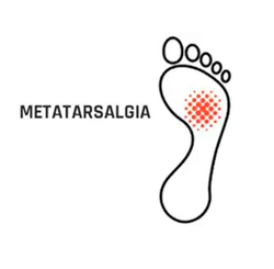 Plantillas Smou Meta