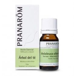 Pranarom Aceite Esencial Árbol del té 10 ml