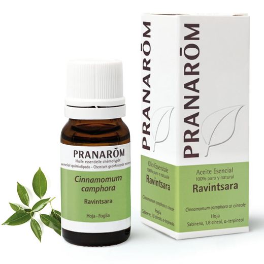 Pranarom AE Ravintsara 10ml