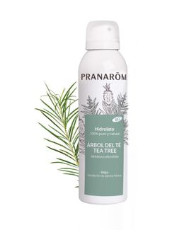 Pranarom Hidrolato Árbol del Té 150 ml