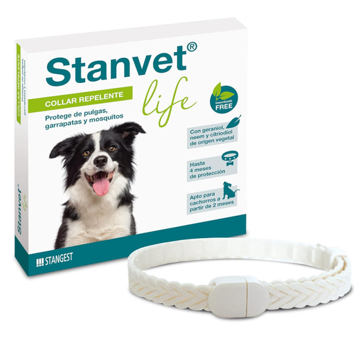 Stangest Collar Stanvet Life Perro