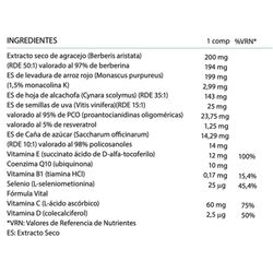 Vitalart Levadura de Arroz Rojo con CoQ10 60 Comprimidos