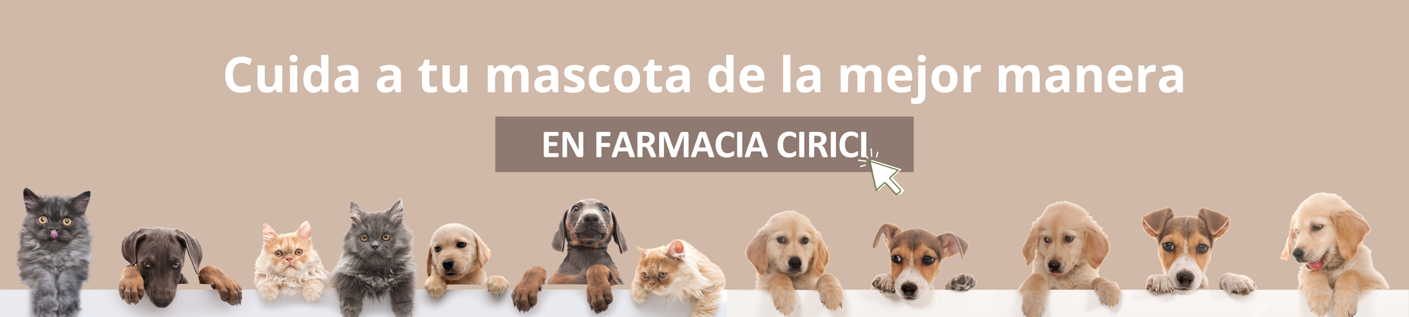 productos veterinaria